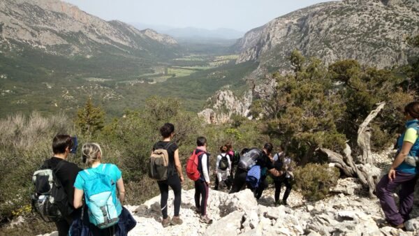 Tiscali - Image 5