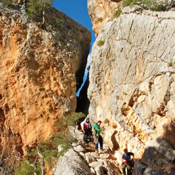 Tiscali - Image 3