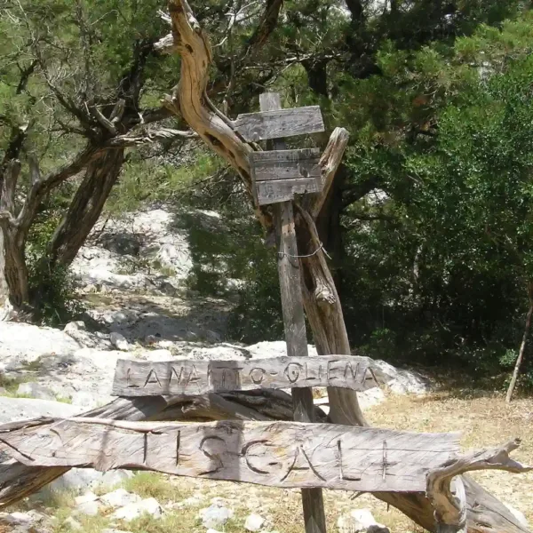 Tiscali - Image 2